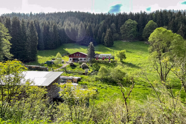 Tal der weissen Schwarza 002 768x512