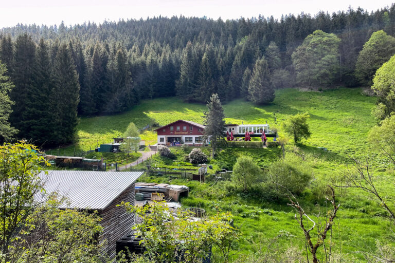 Tal der weissen Schwarza 003 768x512