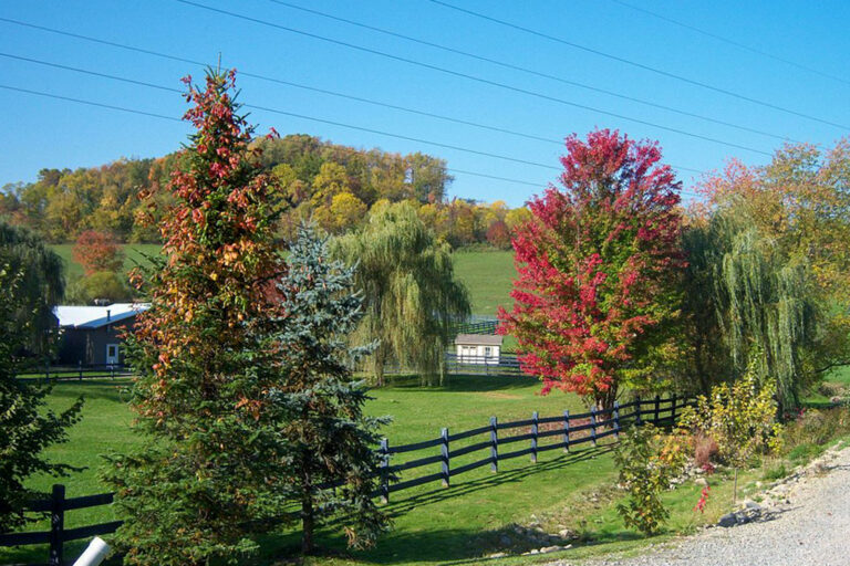breitenbach winery 002 768x512