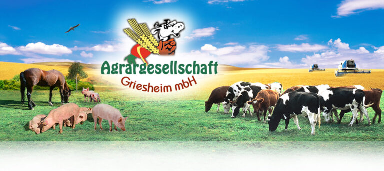 Argrargesellschaft Griesheim 5 768x343