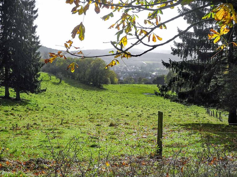 Breitenbach Schoenberg  768x576