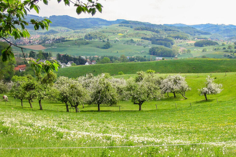 Gross Breitenbach 002 768x512