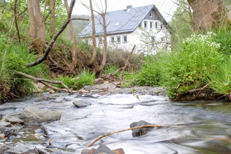 Oelschroete 001 1 768x512