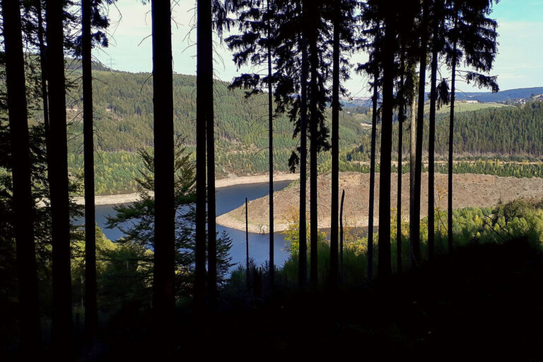 Talsperre Leibis 001 768x512