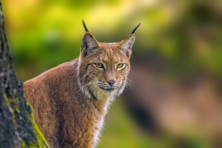 Tierpark Suhl 768x512