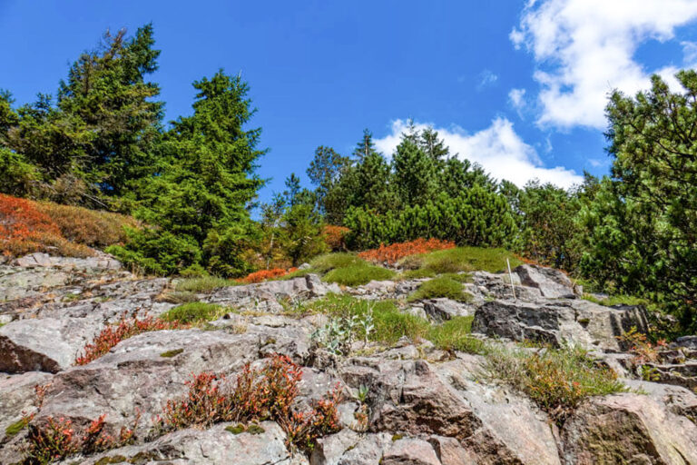 rennsteiggarten oberhof 004 768x512