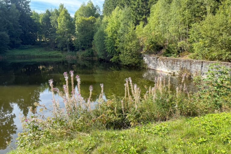 Schwemmbachtal 011 768x512