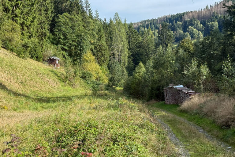 Schwemmbachtal 014 768x512
