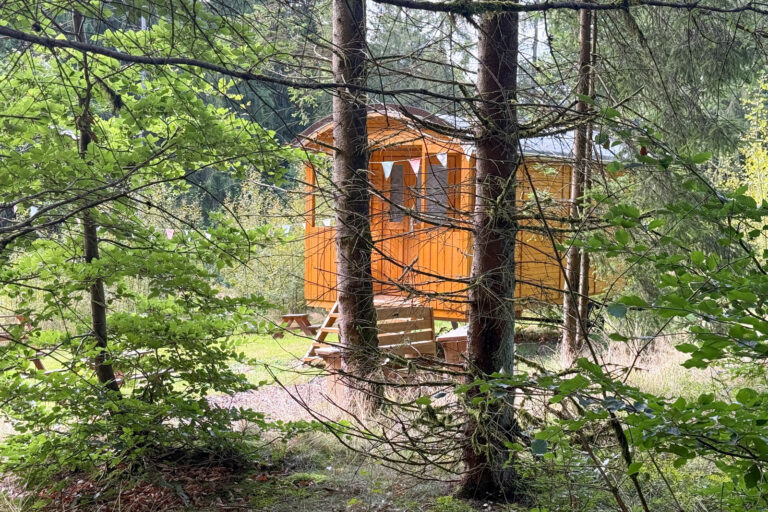 Waldspielplatz Grossbreitenbach 003 768x512