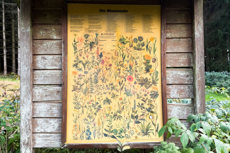 Waldspielplatz Grossbreitenbach 007 768x512