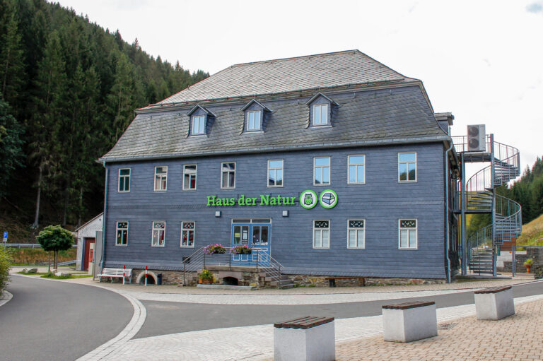 Bushaltestelle Goldisthal Schule 001 768x511