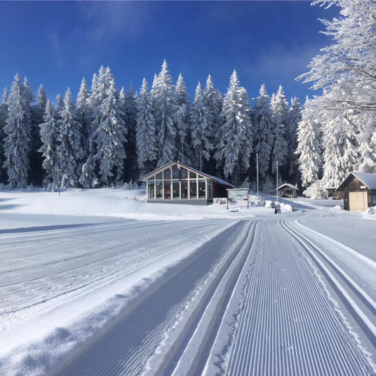 Skistadion am Rennsteig Masserberg 001 768x768